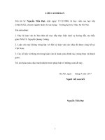 Nghiên cứu giải pháp gia cố nền đập xà lan trong điều kiện địa chất yếu 2 