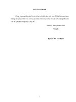 Điều kiện biên hiệu dụng cho vật liệt đàn hồi trực hướng nén được 