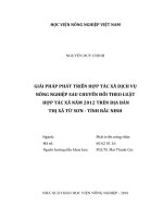 Giải pháp phát triển hợp tác xã dịch vụ nông nghiệp sau chuyển đổi theo luật hợp tác xã năm 2012 trên địa bàn thị xã từ sơn tỉnh bắc ninh   