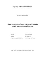 Tăng cường quản lý bảo vệ rừng trên địa bàn huyện lục ngạn, tỉnh bắc giang   