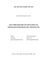 Phát triển nhãn hiệu tập thể gà đông tảo trên địa bàn huyện khoái châu, tỉnh hưng yên   