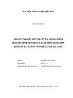 Ảnh hưởng của mật độ cấy và lượng phân bón đến sinh trưởng và năng suất giống lúa khẩu ký tại huyện tân uyên, tỉnh lai châu   