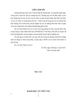 Khóa-luận-tốt-nghiệp.29.11