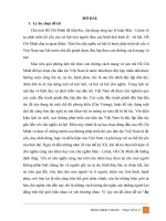 Sự vận dụng của Đảng quan điểm về tính tất yếu của con đường đi lên chủ nghĩa xã hội của Hồ Chí Minh trong thời kỳ đổi mới ở Việt Nam