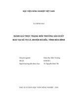 Đánh giá thực trạng môi trường sản xuất rau tại xã tu lý, huyện đà bắc, tỉnh hòa bình   