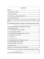 Nghiên cứu lựa chọn giải pháp và công nghệ thi công công trình bảo vệ bờ biển tỉnh bà rịa vũng tàu 