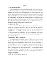 Xây dựng mô hình kinh tế tài nguyên nước tưới và phát triển dựa trên tiếp cận kinh tế tài nguyên thiên nhiên và môi trường trong khu vực hệ thống sông hồng thái bình 