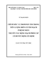 chỉ số sốc và troponin tim trong tiên lượng biến cố tim mạch ở bệnh nhân thuyên tắc động mạch phổi cấp có huyết động ổn định 