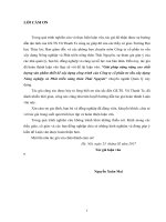 Nghiên cứu sử dụng đá mạt cho bê tông ứng dụng đối với công trình bản mòng 