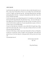 Nghiên cứu trạng thái ứng suất biến dạng đường hầm thủy công bằng phương pháp phần tử hữu hạn áp dụng cho đường hầm thủy điện nậm toóng lào cai 