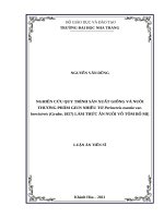Nghiên cứu quy trình sản xuất giống và nuôi thương phẩm giun nhiều tơ (perinereis nuntia var  brevicirris (grube, 1857) làm thức ăn nuôi vỗ tôm bố mẹ 