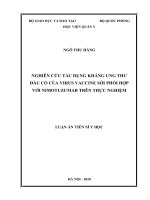 Luận án tiến sĩ nghiên cứu tác dụng kháng ung thư đầu cổ của virus vaccine sởi phối hợp với nimotuzumab 