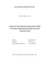 Đánh giá thực hiện quy hoạch phát triển cây ăn quả trên địa bàn huyện lục ngạn, tỉnh bắc giang   