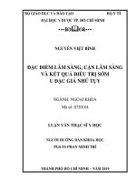 đặc điểm lâm sàng, cận lâm sàng và kết quả điều trị sớm u đặc giả nhú tụy 