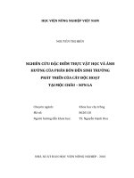 Nghiên cứu đặc điểm thực vật học và ảnh hưởng của phân bón đến sinh trưởng phát triển của cây độc hoạt tại mộc châu   sơn la   