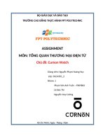 Bài tiểu luận Tổng quan thương mại điện tử cho doanh nghiệp Cunnor Watch