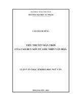 Tiểu thuyết đàn trời của cao duy sơn từ góc nhìn văn hóa 
