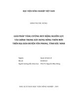 Giải pháp tăng cường huy động nguồn lực tài chính trong xây dựng nông thôn mới trên địa bàn huyện yên phong, tỉnh bắc ninh   
