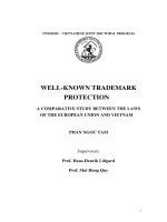 Bảo hộ nhãn hiệu nổi tiếng nghiên cứu so sánh giữa pháp luật liên minh châu âu và việt nam 