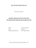 Liên kết trong sản xuất và tiêu thụ sản phẩm chuối trên địa bàn huyện gia lâm   
