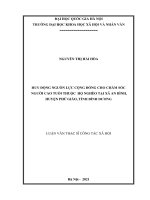 Huy động nguồn lực cộng đồng cho chăm sóc người cao tuổi thuộc hộ nghèo tại xã an bình, huyện phú giáo, tỉnh bình dương 