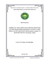 Nghiên cứu nhân giống bằng phương pháp nuôi cấy mô cho 2 dòng bạch đàn lai up54 và up99 giống lai giữa bạch đàn uro eucalyptus urophylla và bạch đàn pellita eucalyptus pellita 