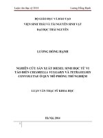Nghiên cứu sản xuất diesel sinh học từ vi tảo biển chlorella vulgaris và tetraselmis convolutae ở quy mô phòng thí nghiệm 