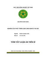 Nghiên cứu phát triển cụm làng nghề ở hà nội TT 