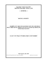 Nghiên cứu một số giải pháp chủ yếu góp phần phát triển rừng trồng sản xuất tại huyện đồng hỷ tỉnh thái nguyên 