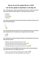 Đáp án mô dun 3 môn ngữ Văn THCS trắc nghiệm đầy đủ