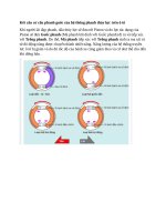Kết cấu cơ cấu phanh guốc của hệ thống phanh thủy lực trên ô tô