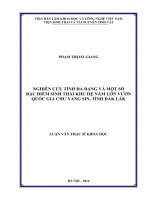 Nghiên cứu tính đa dạng và một số đặc điểm sinh thái khu hệ nấm lớn vườn quốc gia chư yang sin tỉnh đắk lắk 
