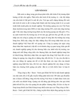 Hoàn thiện chiến lược quảng cáo của tổng công ty bia   rượu   nước giải khát hà nội