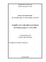 NGHIÊN CỨU CHẾ BIẾN SẢN PHẨM ỔI SẤY DẺO