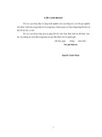 Nghiên cứu phát triển cụm làng nghề ở hà nội 