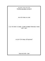 Các tổ chức xã hội nghề nghiệp tỉnh bắc ninh 1997 2017 