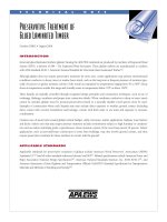 APA preservative treatment of glued laminted timber 