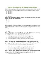 Câu hỏi trắc nghiệm ôn tập module 3 môn ngữ văn