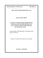 Tóm tắt Luận văn Thạc sĩ Luật học: Xử phạt vi phạm hành chính trong lĩnh vực bảo vệ môi trường của lực lượng Cảnh sát môi trường tại tỉnh Bắc Ninh