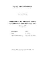 Kiểm nghiệm và thử nghiệm vắc xin avac nd clone entero phòng bệnh newcastle cho gà con   