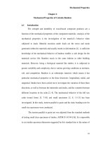 Bamboo mechanical properties 