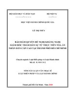 Tóm tắt Luận văn Thạc sĩ Luật Hiến pháp và Luật Hành chính: Bảo đảm quyền đề nghị kháng nghị giám đốc thẩm dân sự từ thực tiễn Tòa án nhân dân cấp cao tại Thành phố Hồ Chí Minh