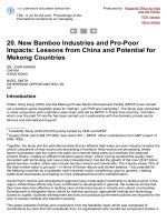 20  new bamboo industries and pro poor impacts lessons from china and potential for mekong countries 