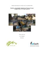 Bamboo a sustainable solution 