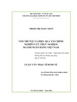 Vốn trí tuệ và hiệu quả tài chính – nghiên cứu thực nghiệm ngành ngân hàng việt na 