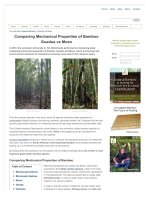 Comparing mechanical properties of bamboo guadua vs moso 