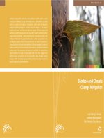 Carbon publication final 151110 