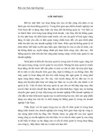 LUẬN văn tốt NGHIỆP HOÀN CHỈNH (kế TOÁN) nghiên cứu tìm hiểu về cơ cấu tổ chức quản lý của công ty xây dựng phát triển hạ tầng tân thành