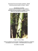 Bamboo preservative methods latin 