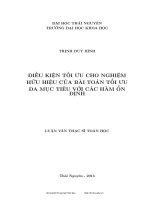 Điều kiện tối ưu cho nghiệm hữu hiệu của bài toán tối ưu đa mục tiêu với các hàm ổn định 